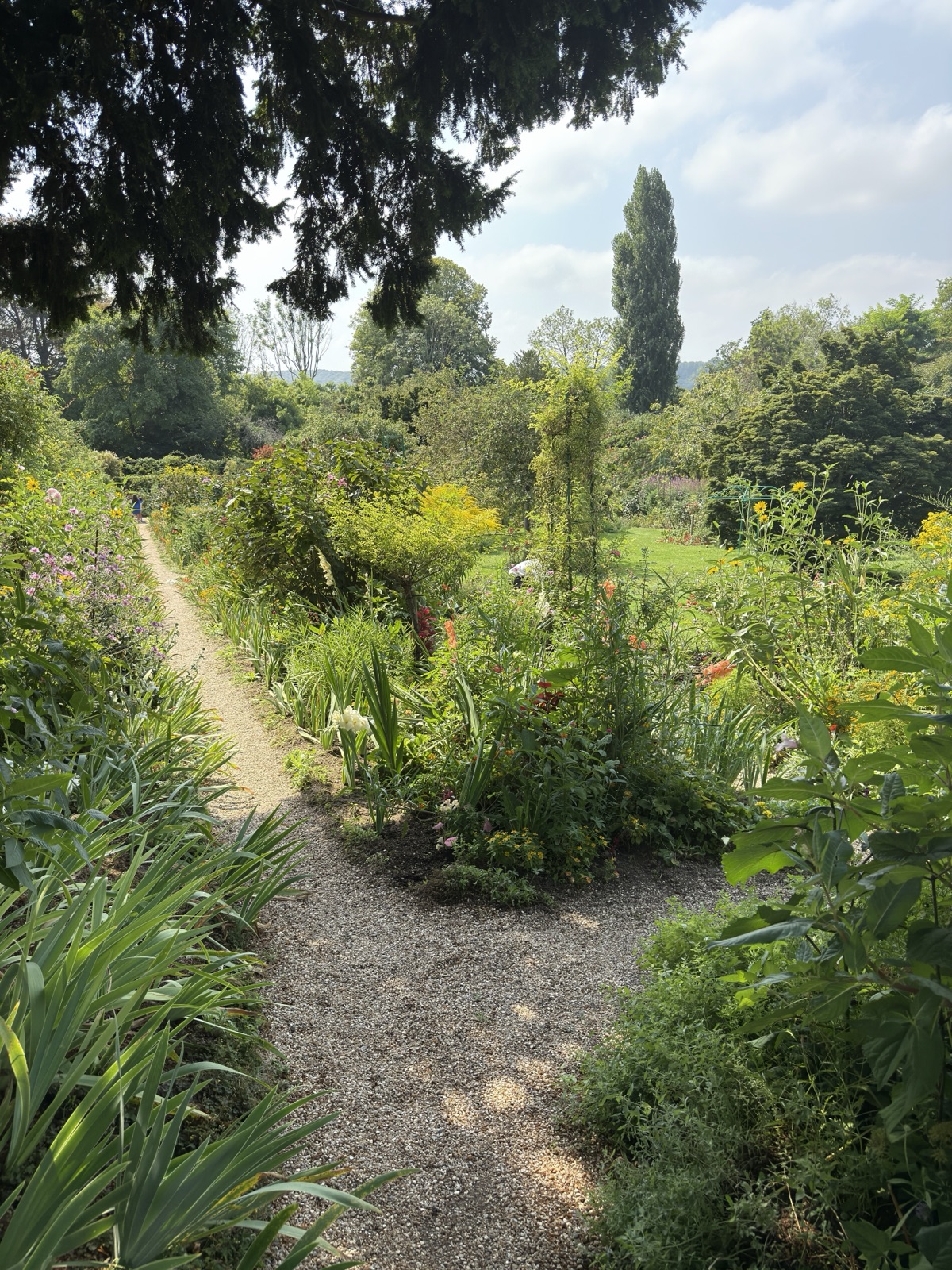 The flower beds of Monet's garden at Giverny, France, photographed by Lee Hnetinka