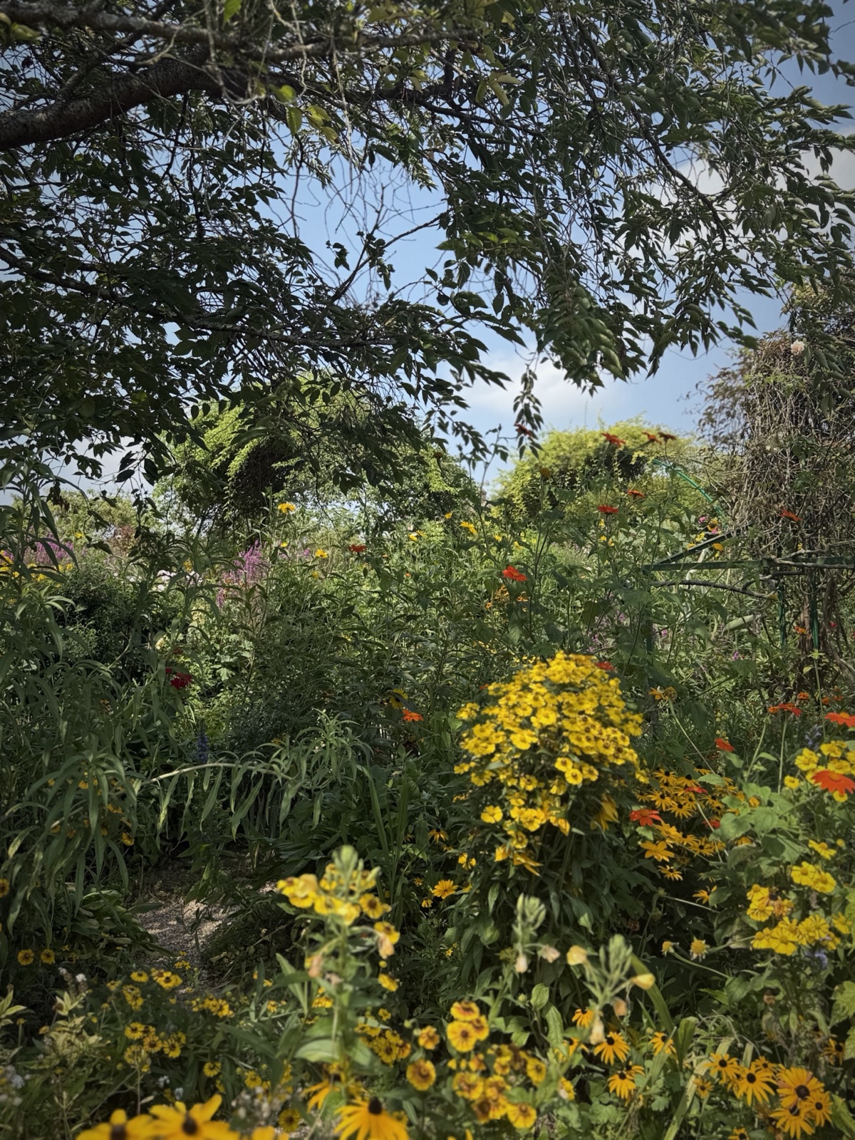 Monet's garden at Giverny, France, photographed by Lee Hnetinka