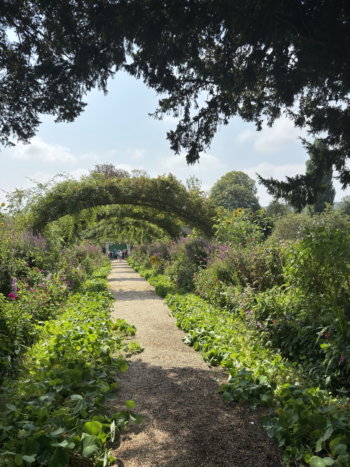 The Grande Allee of rose arches at Giverny, France, photographed by Lee Hnetinka