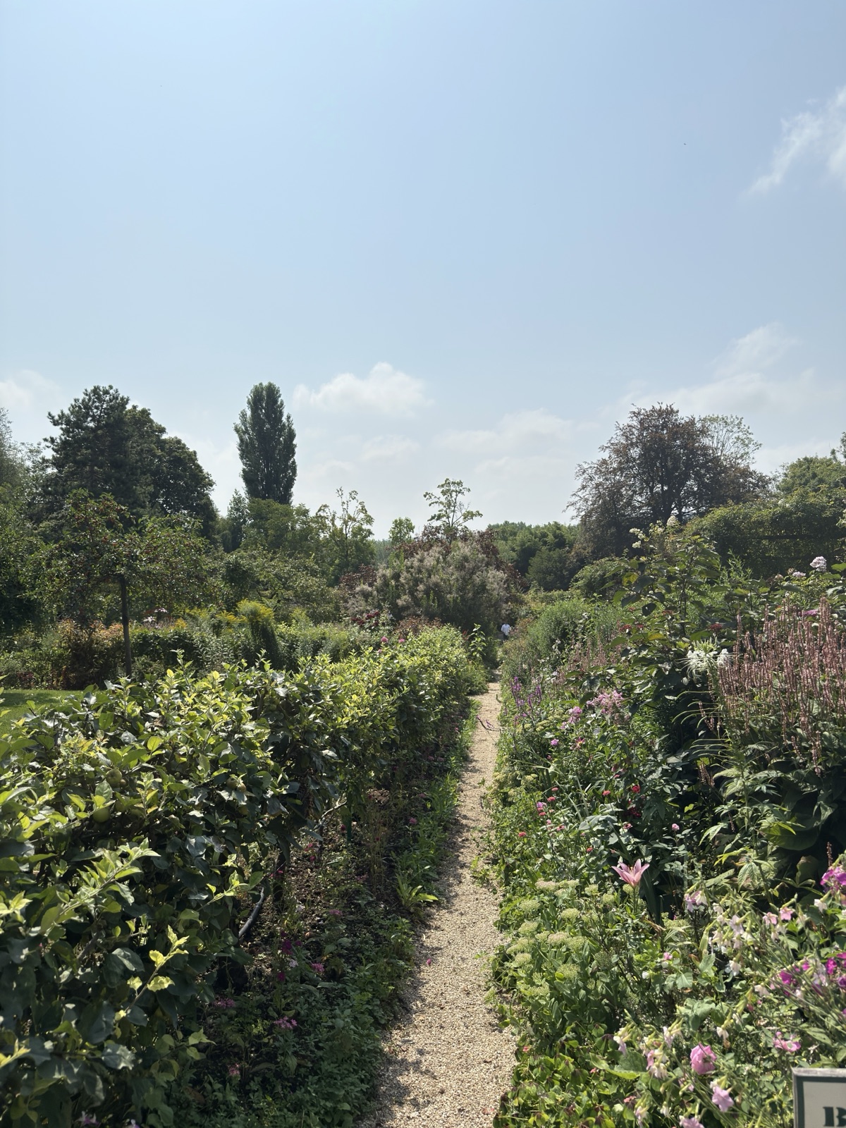 Monet's flower garden at Giverny, France, photographed by Lee Hnetinka