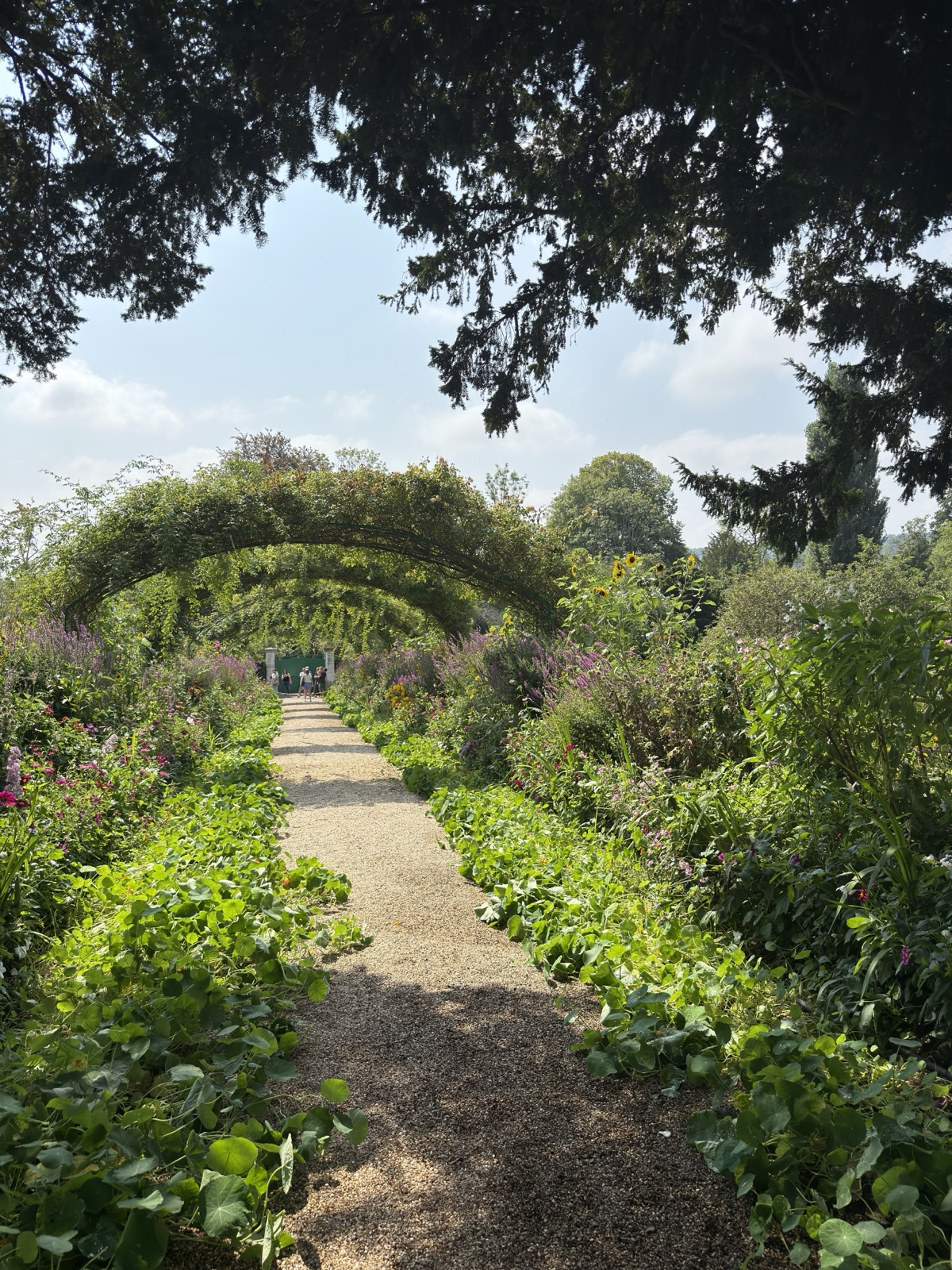 The rose arches over the Grande Allee in Monet's garden at Giverny, France, photographed by Lee Hnetinka