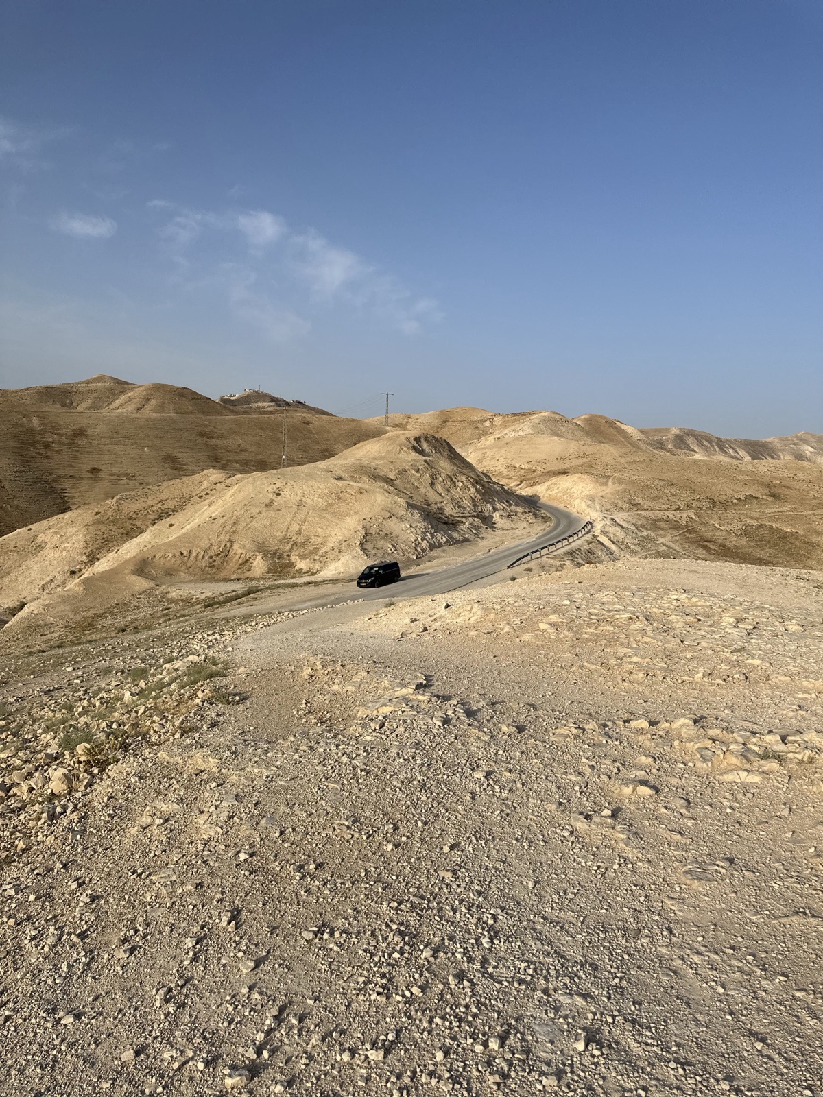 A camel in the hills of the West Bank, photographed by Lee Hnetinka