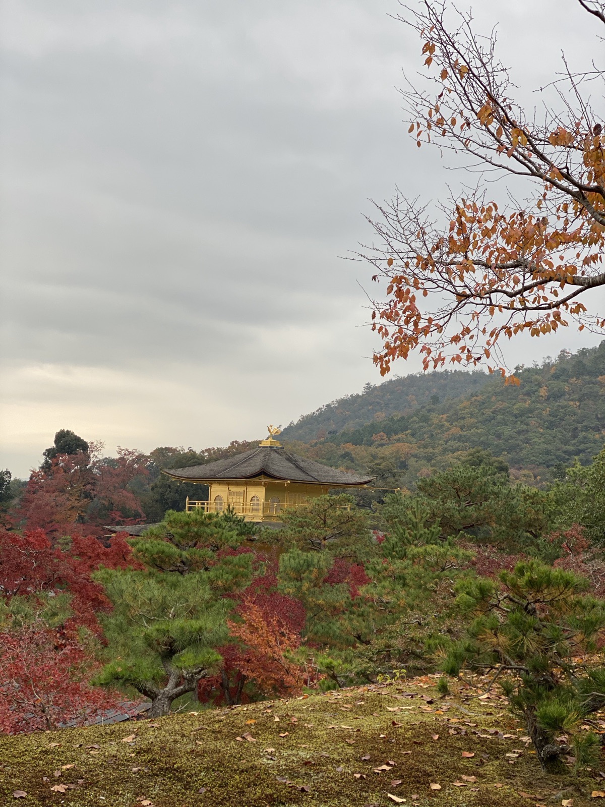 The Golden Pavilion of Kinkaku-ji seen from the garden overlook amid autumn color in Kyoto, Japan, photographed by Lee Hnetinka