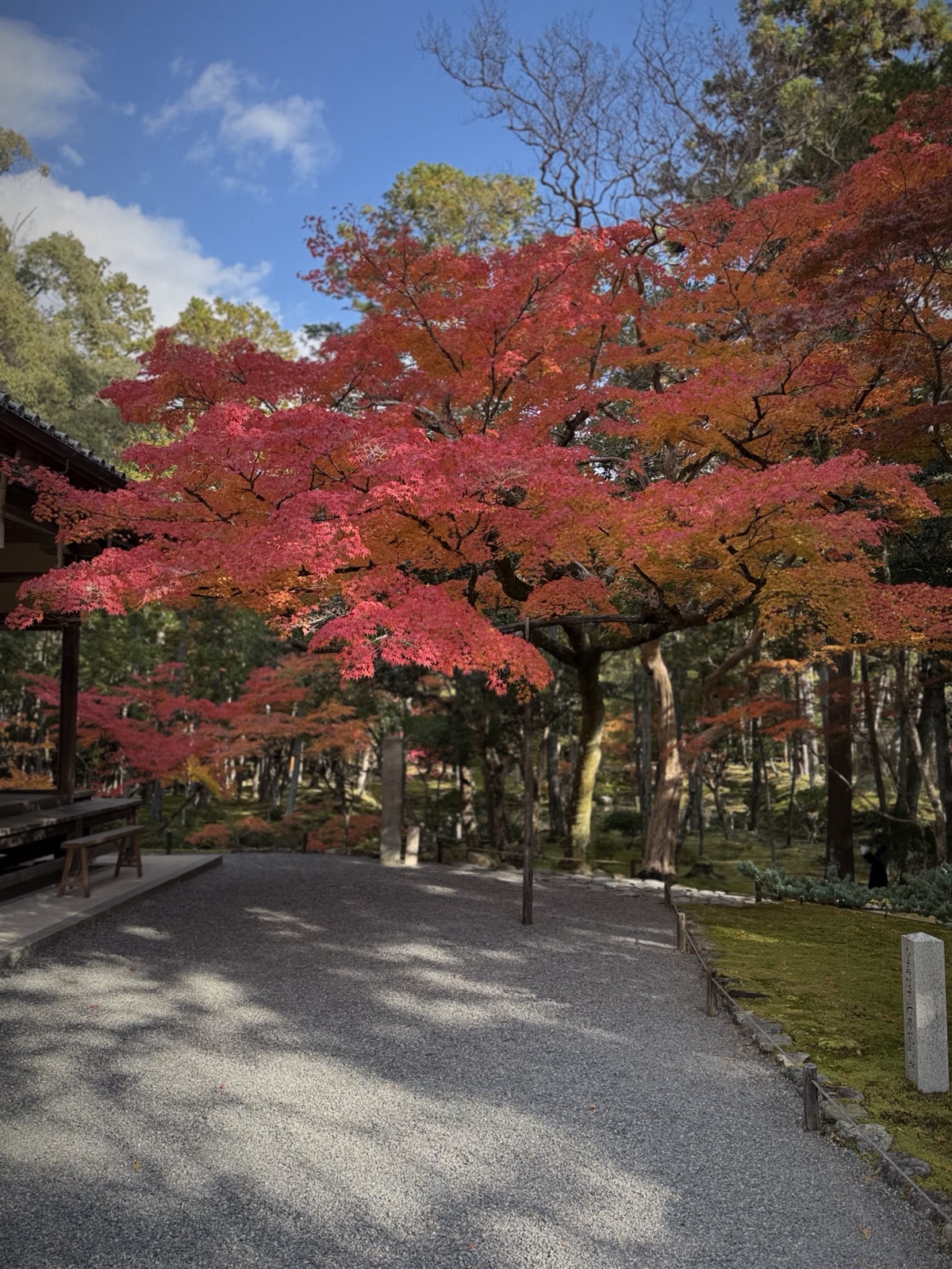 An autumn garden path under red maples at Saihō-ji in Kyoto, Japan, photographed by Lee Hnetinka