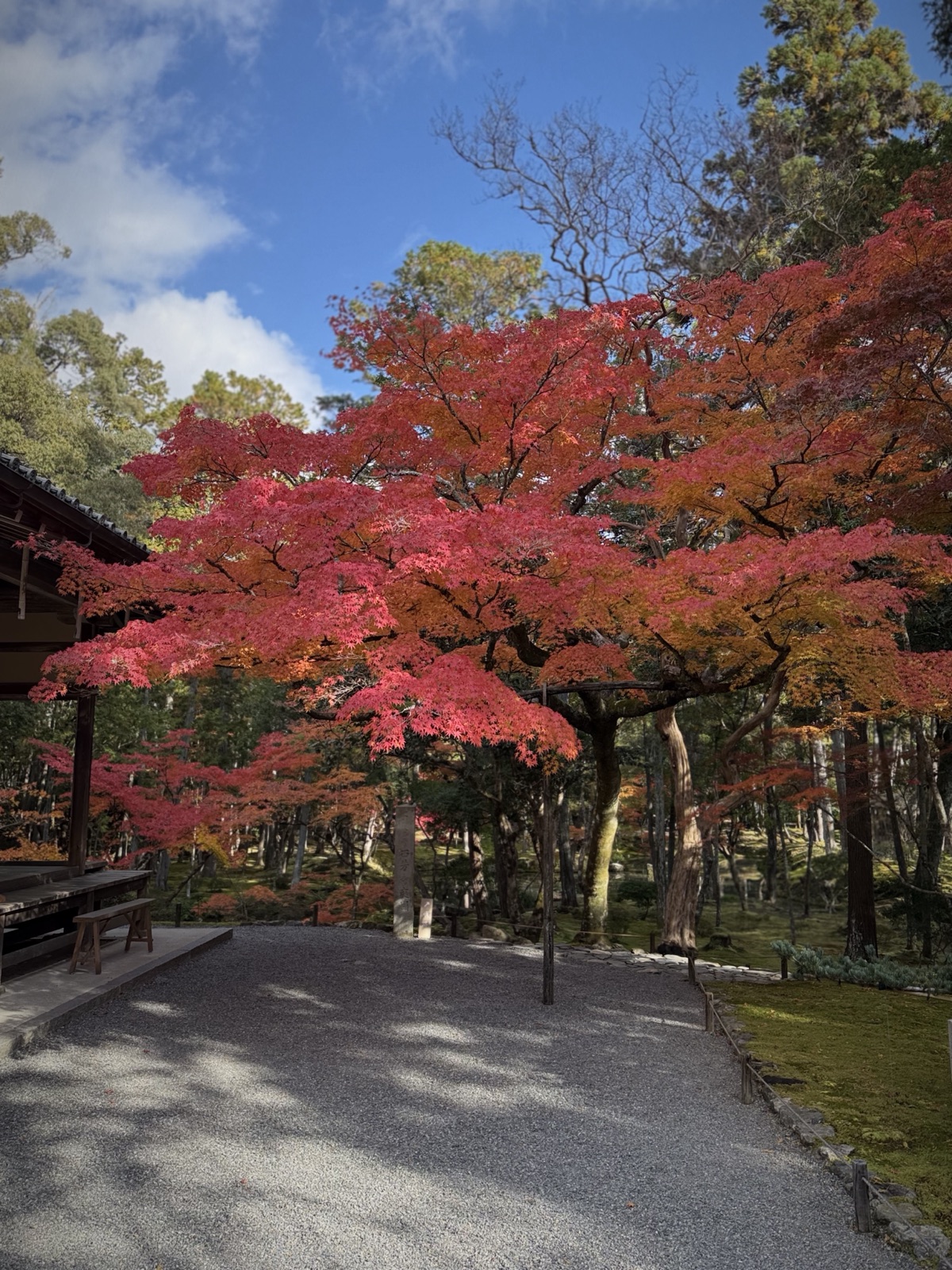 Autumn maples reflected in the pond at Saihō-ji in Kyoto, Japan, photographed by Lee Hnetinka