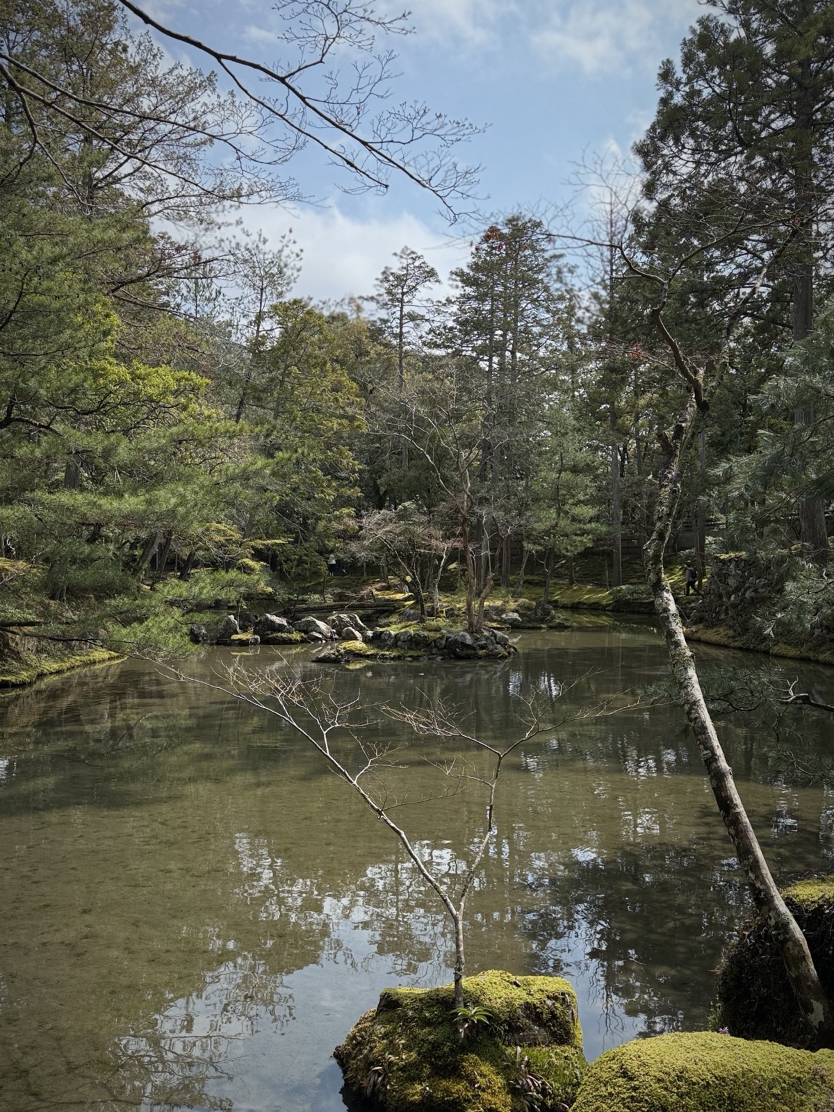 The moss garden and pond at Saihō-ji (Kokedera), the moss temple, in Kyoto, Japan, photographed by Lee Hnetinka