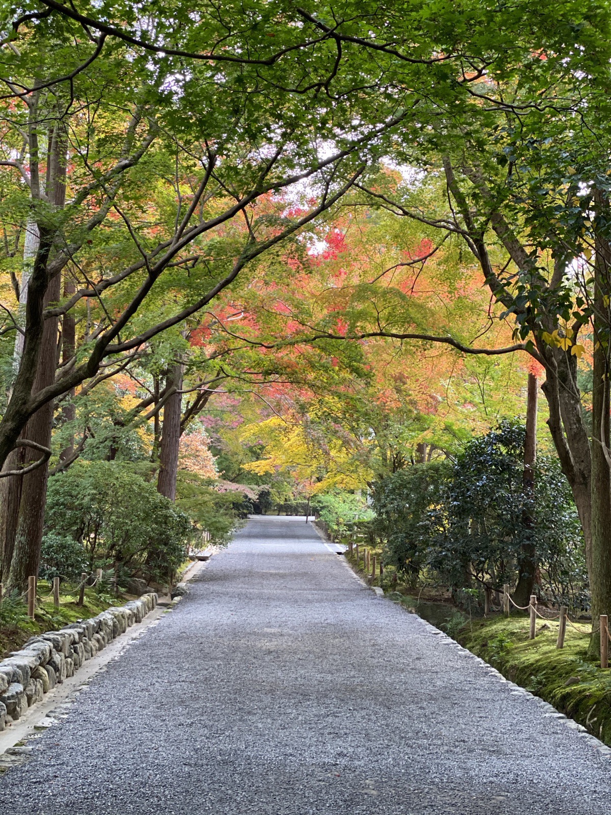 A path beneath autumn maples beside a stone wall at Nanzen-ji in Kyoto, Japan, photographed by Lee Hnetinka