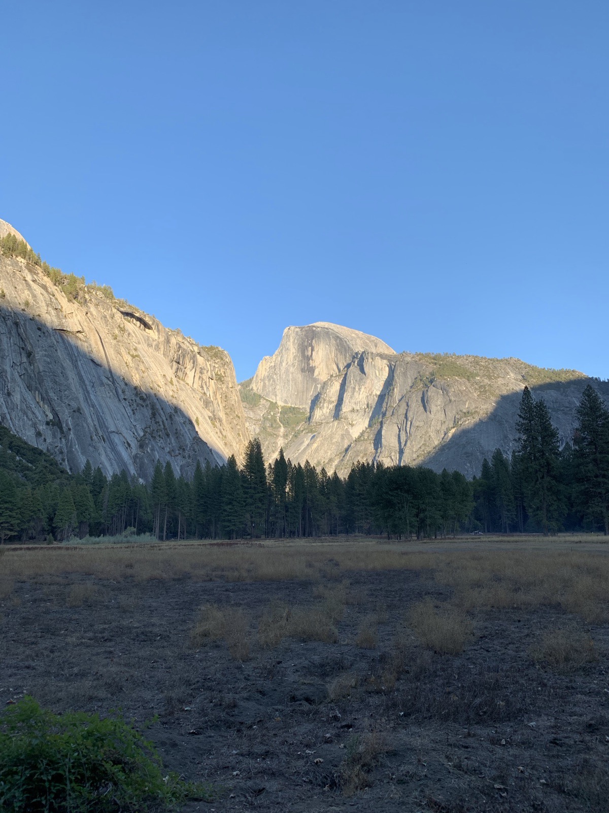 Half Dome above a golden meadow in Yosemite Valley, California, photographed by Lee Hnetinka
