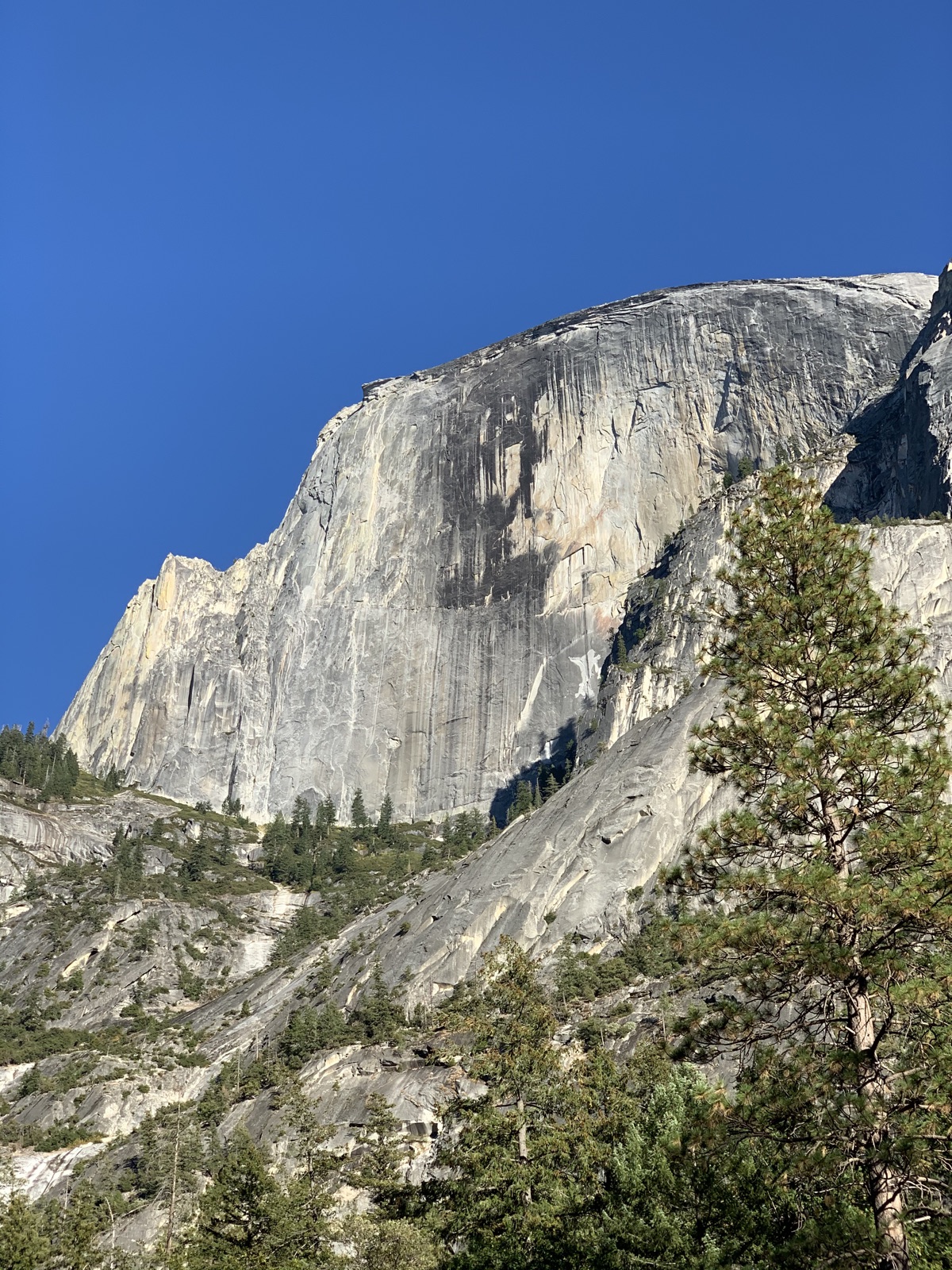 Half Dome, Yosemite National Park, California, photographed by Lee Hnetinka