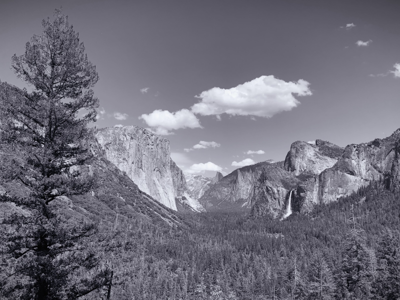 Yosemite Valley from Tunnel View in black and white, El Capitan, Bridalveil Fall and Half Dome, California, photographed by Lee Hnetinka