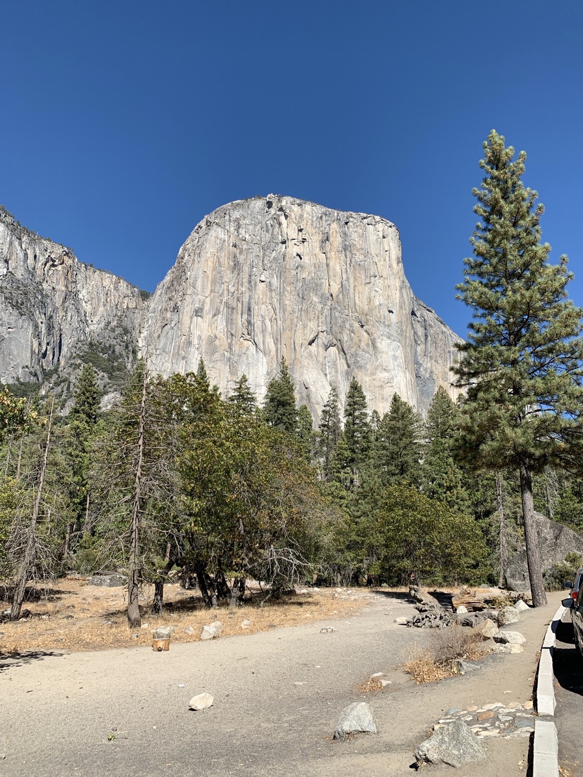 The floor of Yosemite Valley, California, photographed by Lee Hnetinka